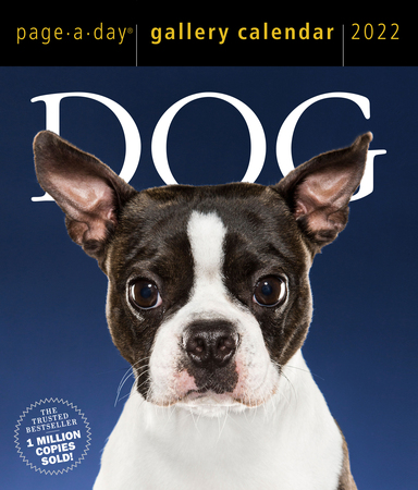 Dog Page A Day Gallery Calendar 2022 Workman Publishing