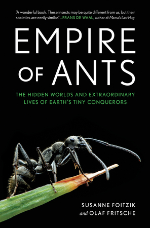 empire of the ants werber