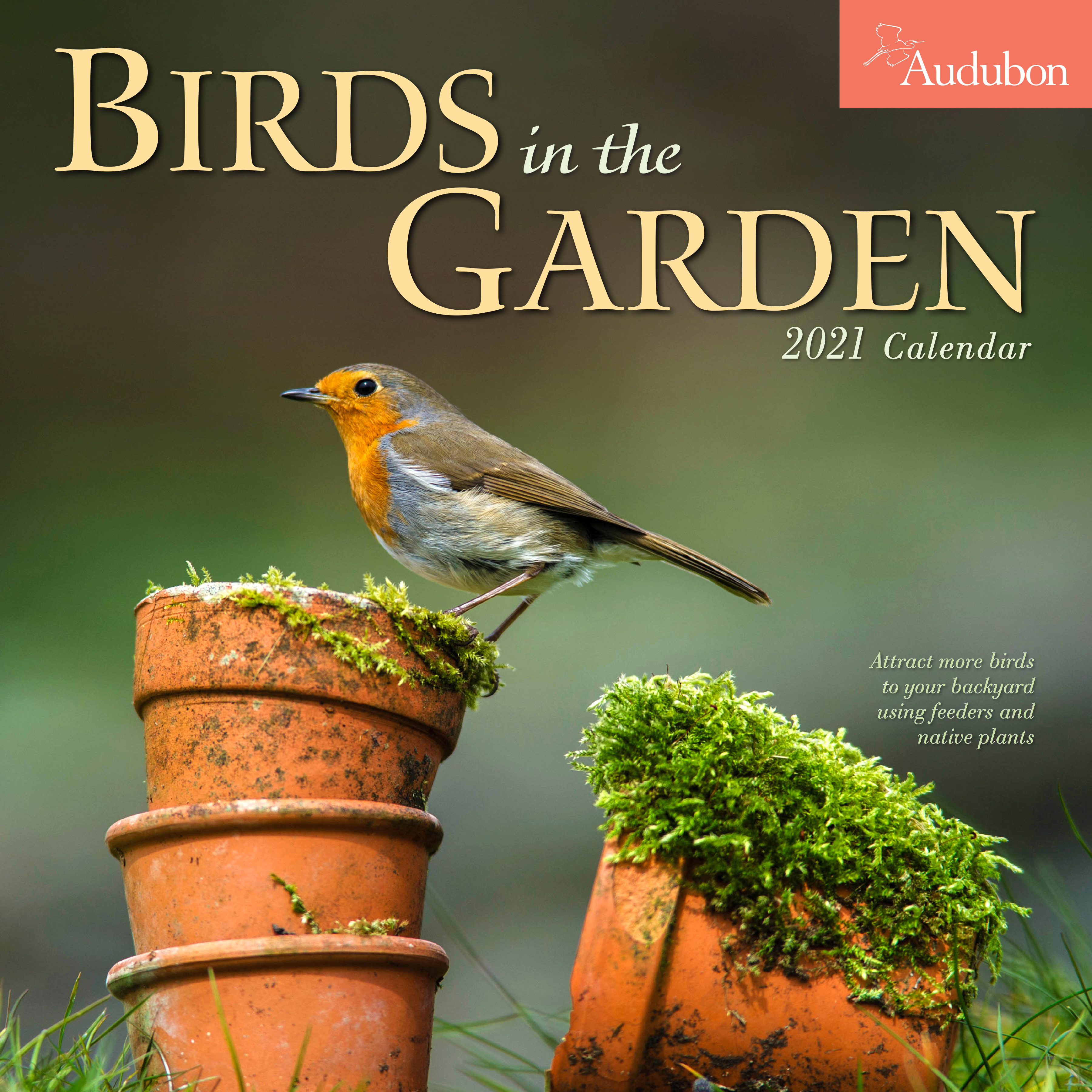 Audubon Calendar 2021 Calendar 2021