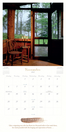 Where the Crawdads Sing Wall Calendar 2022 - Workman ...