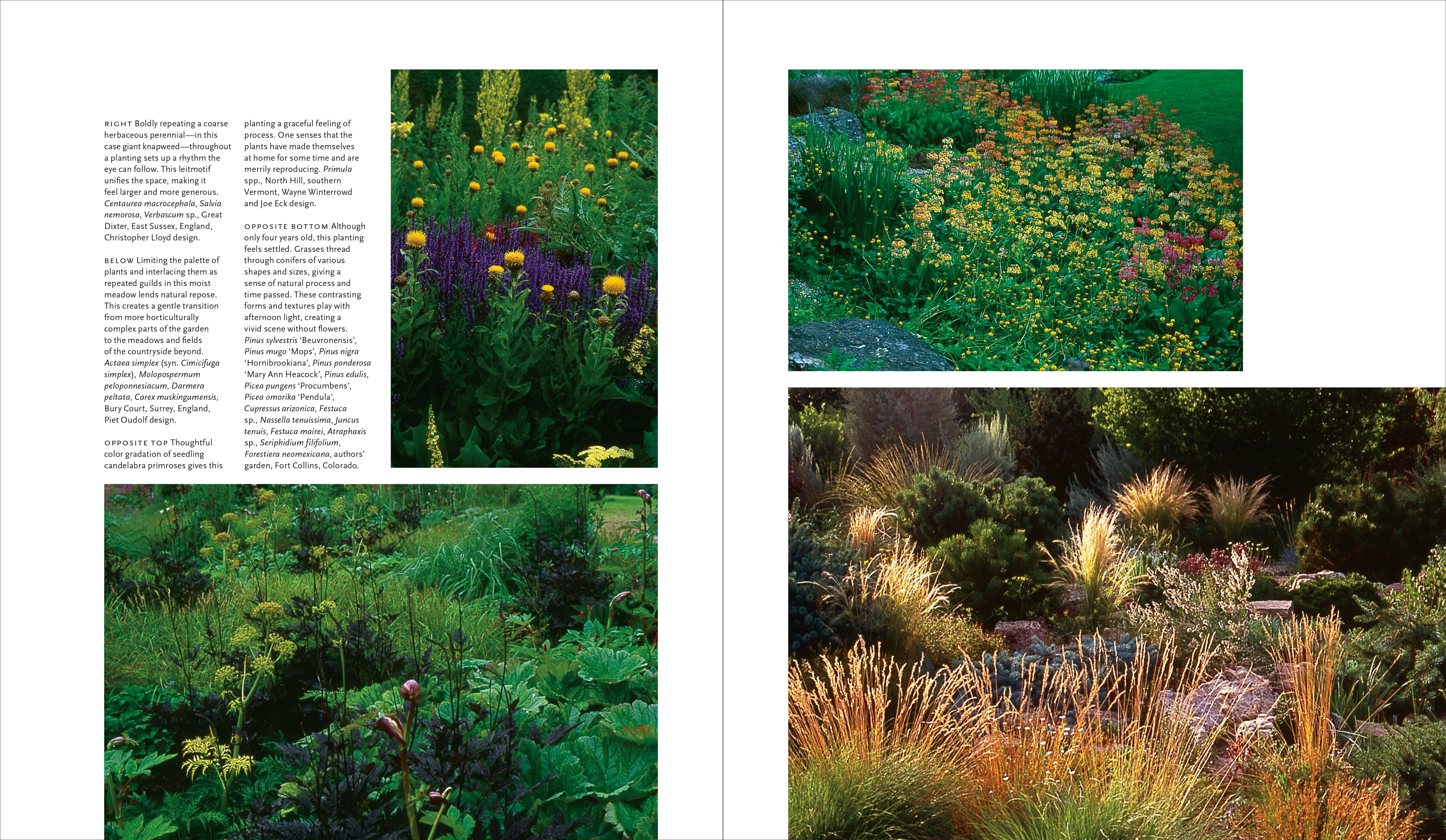 Plant-Driven Design - Workman Publishing on Plant Driven Design
 id=56753