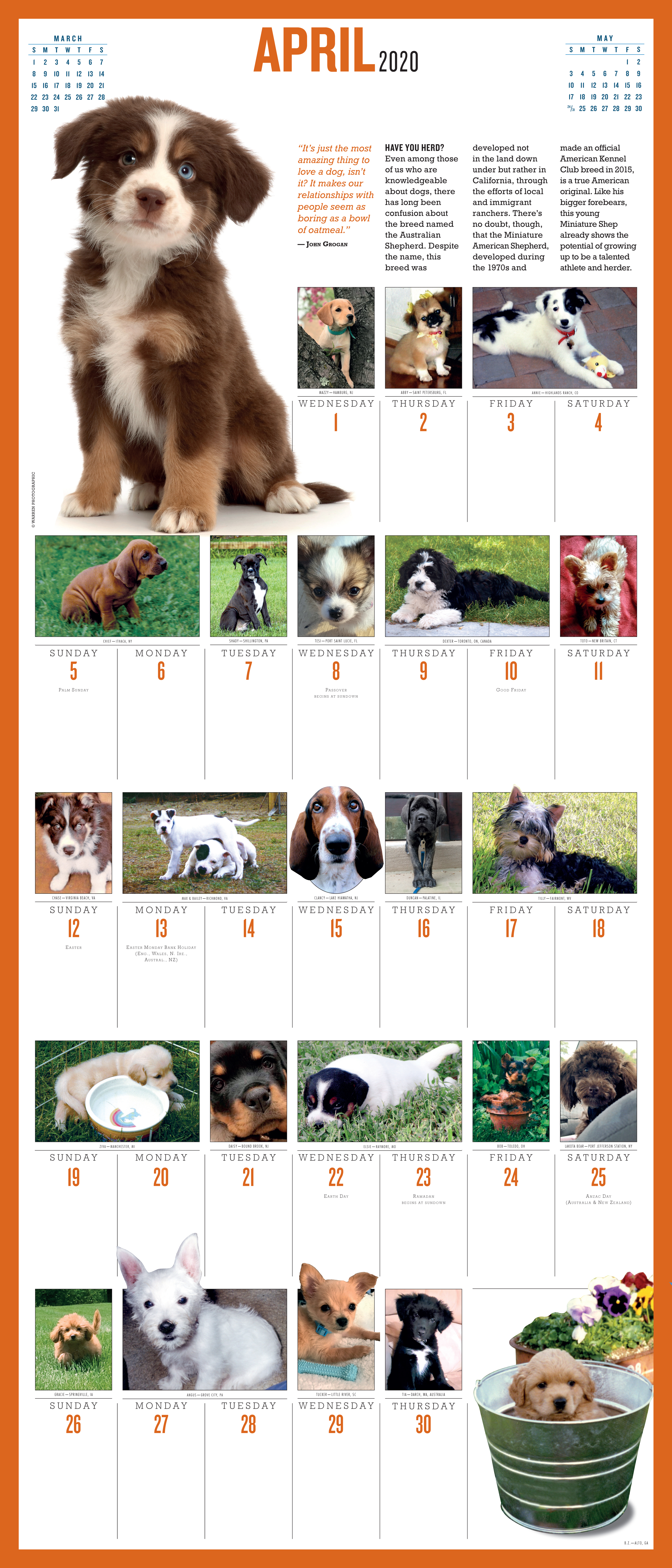 365 Puppies A Year Picture A Day Wall Calendar 2020 Workman