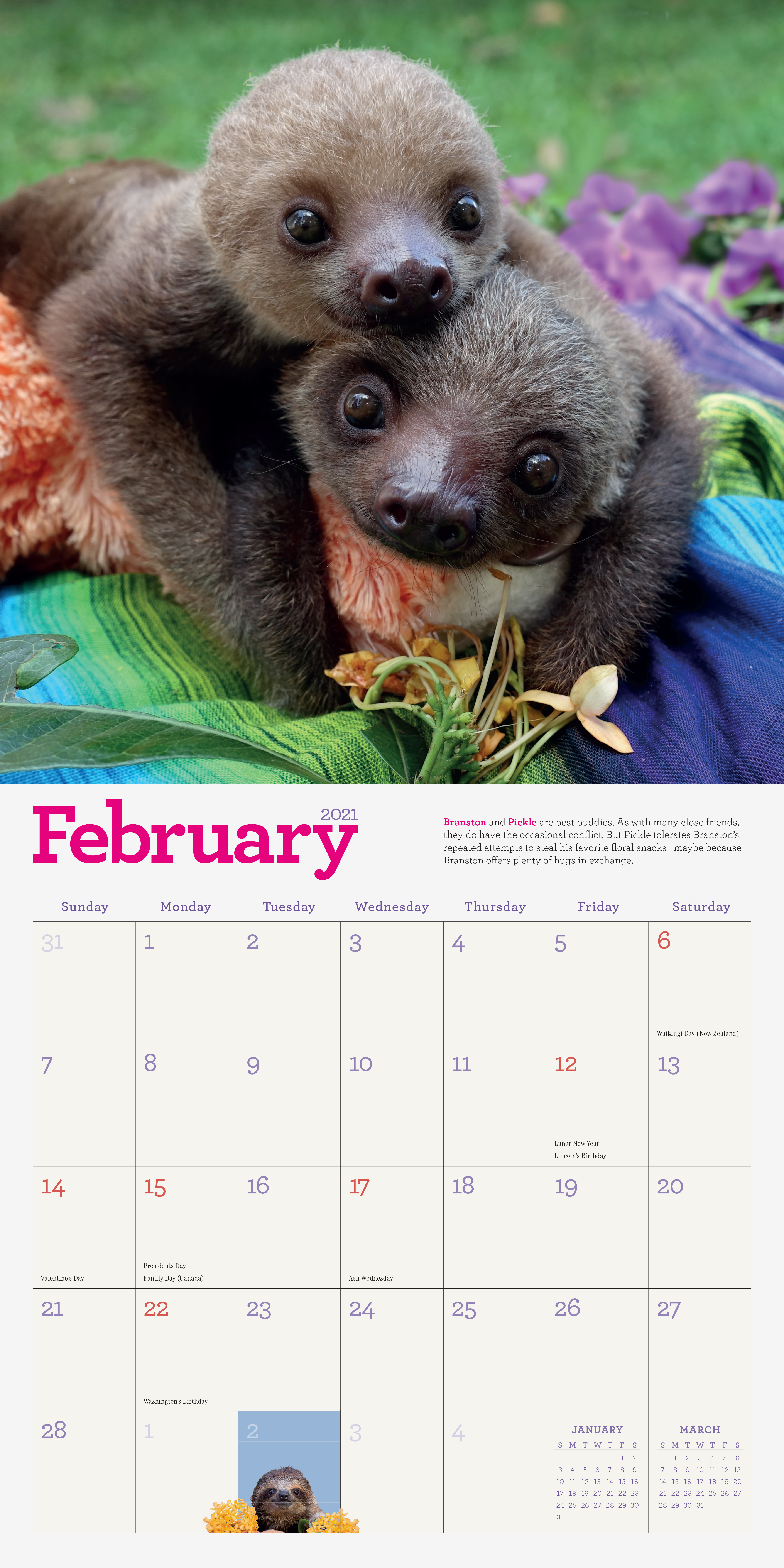 sloth calendar 2021 Original Sloths Wall Calendar 2021 Workman Publishing sloth calendar 2021