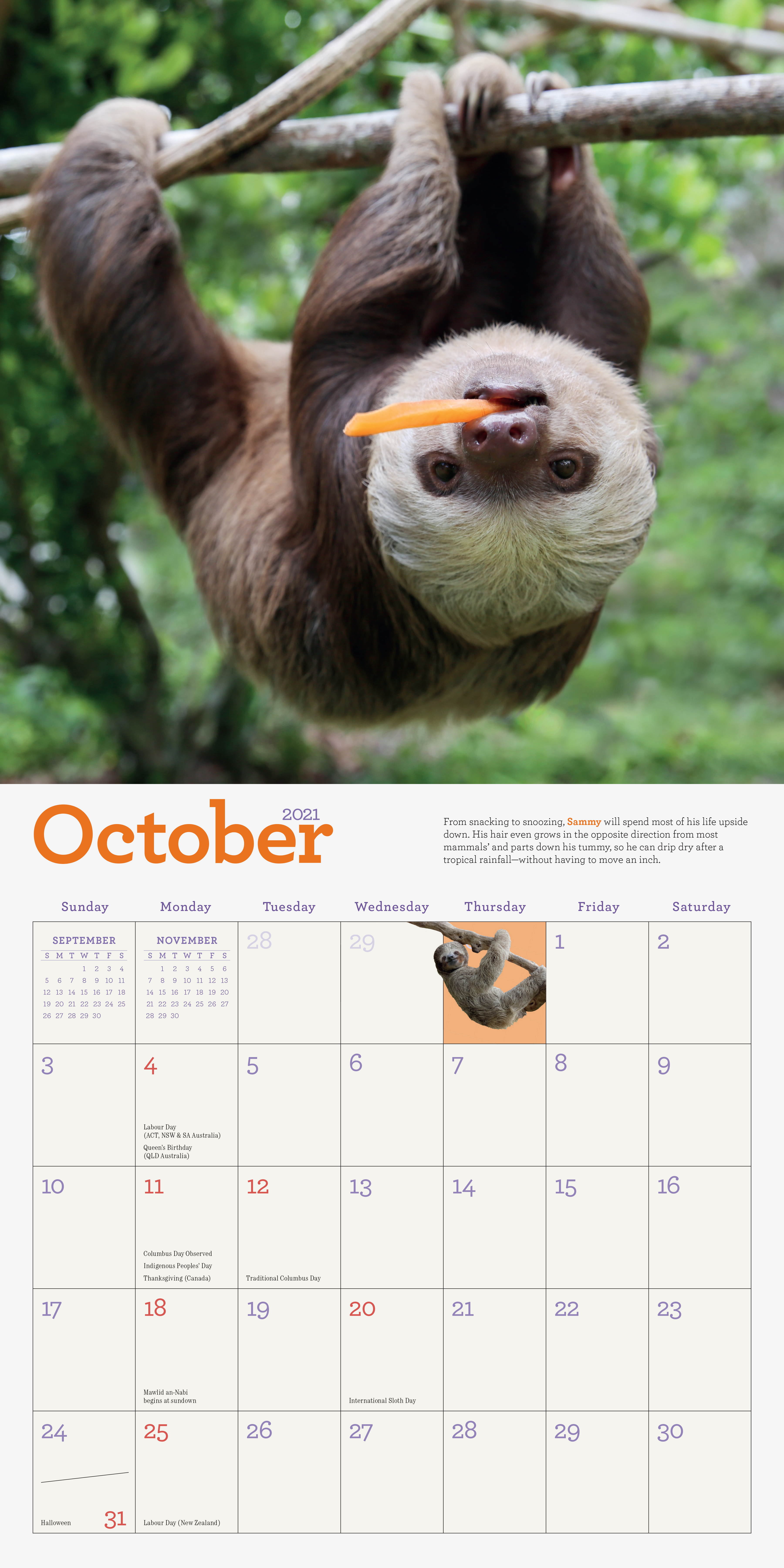 sloth calendar 2021 Original Sloths Wall Calendar 2021 Workman Publishing sloth calendar 2021