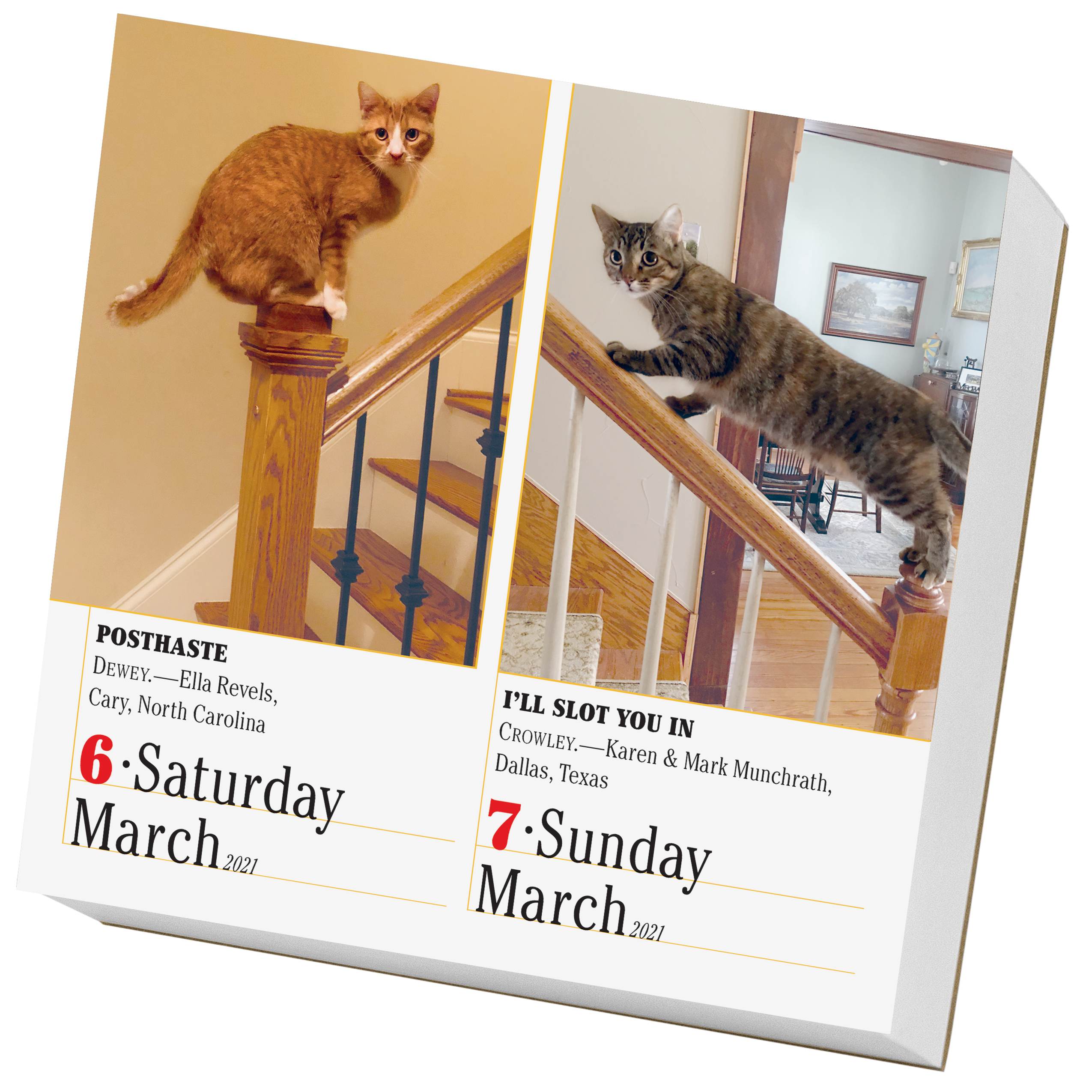 365 cats page a day calendar 2021 365 Cats Page A Day Calendar 2021 Workman Publishing 365 cats page a day calendar 2021