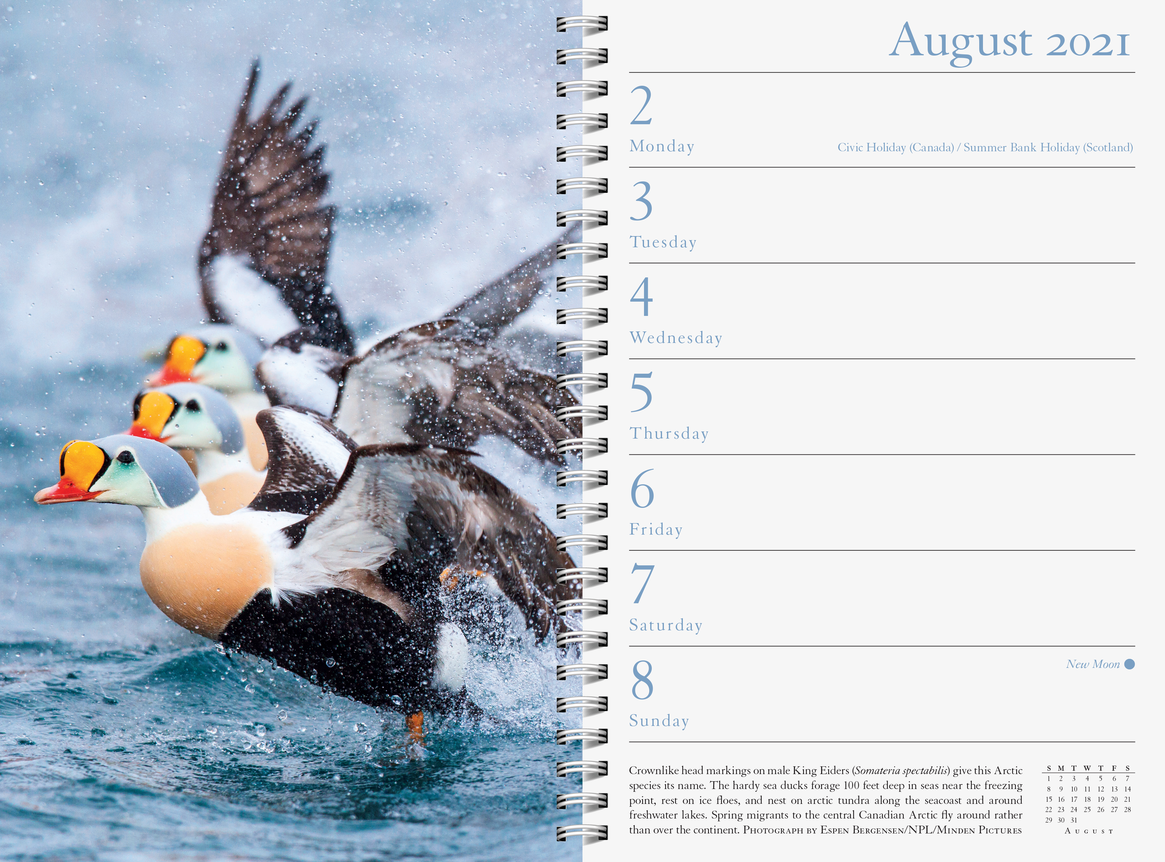 audubon calendar 2021 Audubon Engagement Calendar 2021 Workman Publishing audubon calendar 2021
