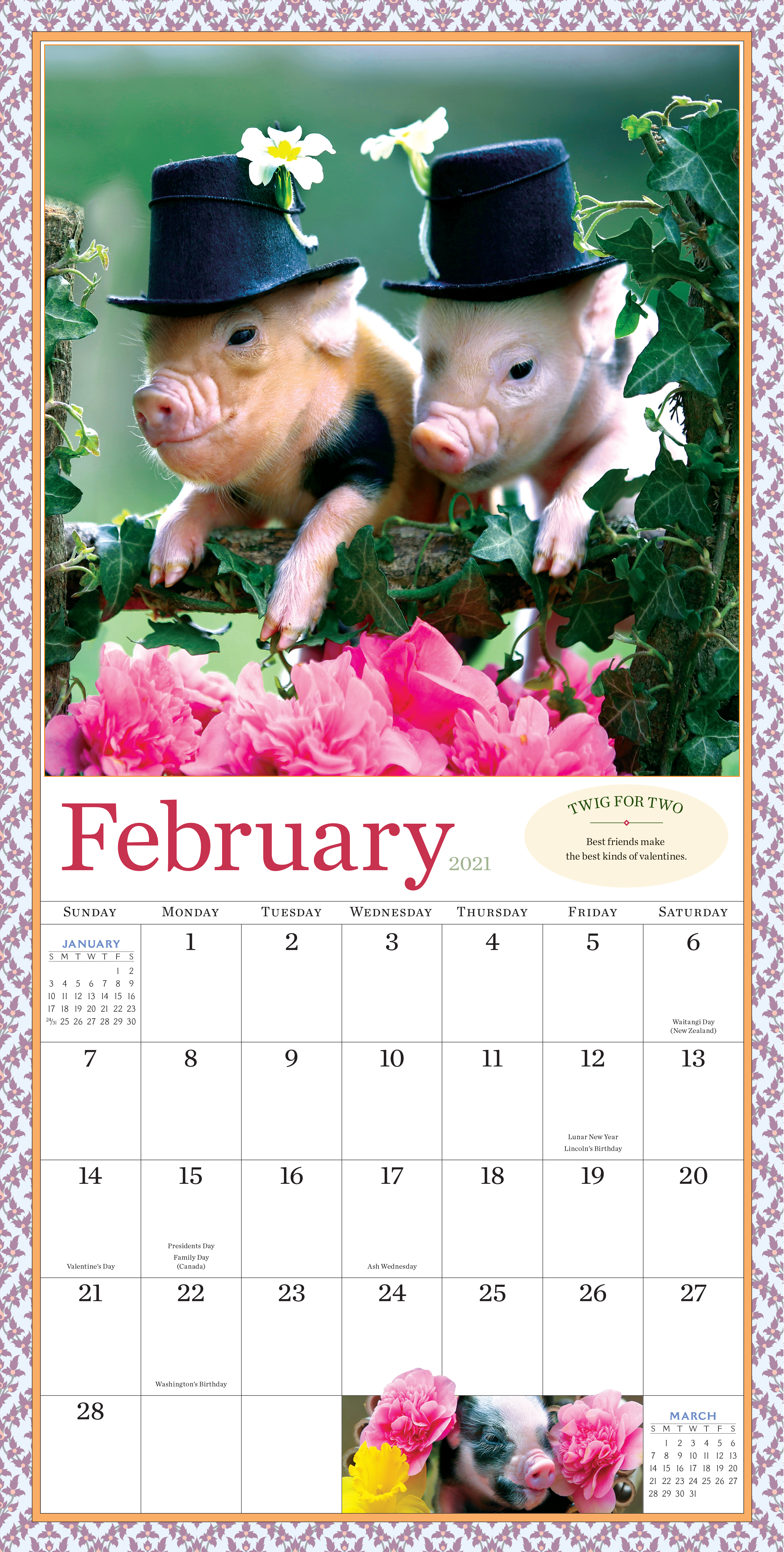 pocket wall calendar 2021 The Original Pocket Pigs Wall Calendar 2021 Workman Publishing pocket wall calendar 2021