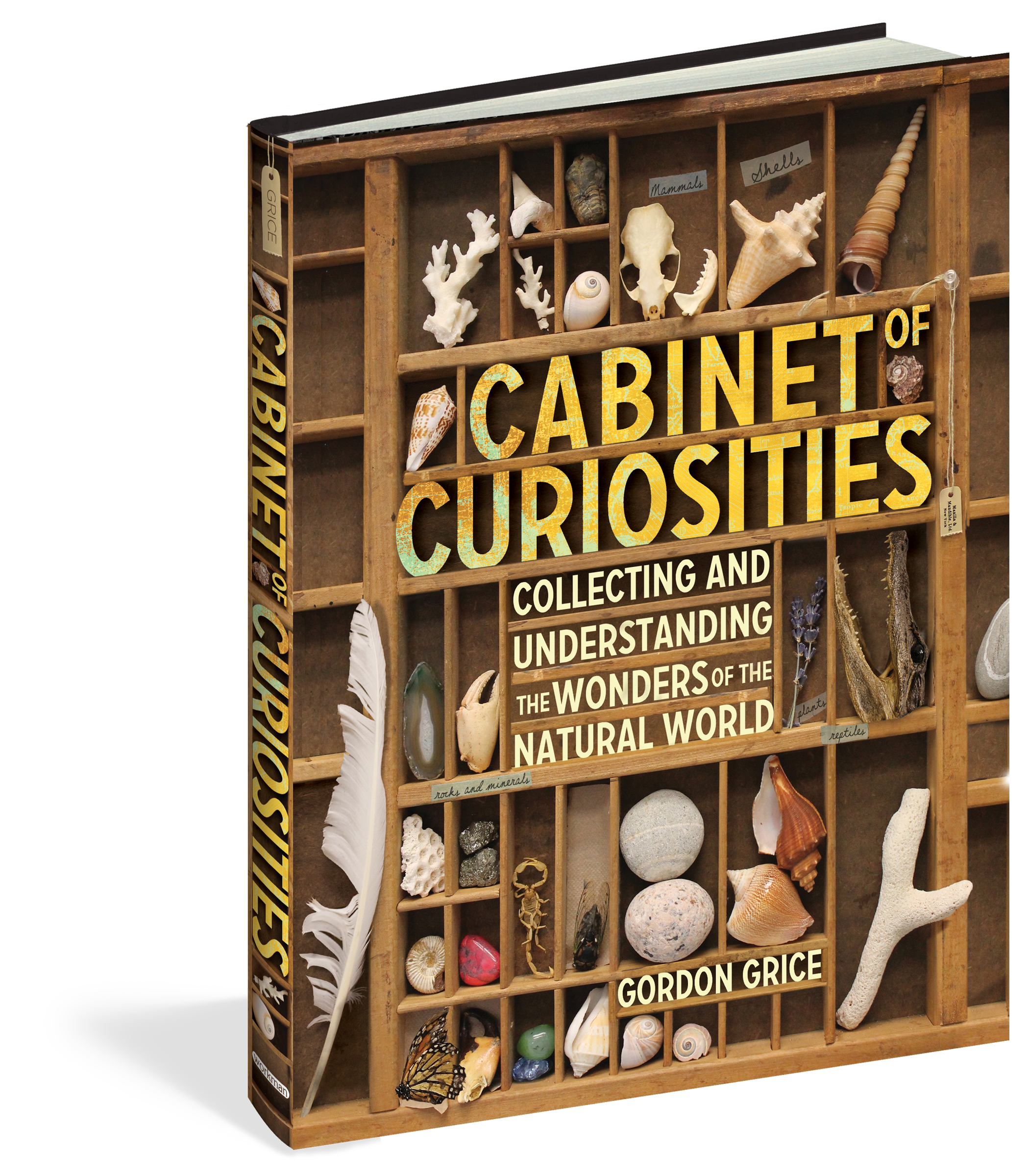 Cabinet Of Curiosities Workman Publishing