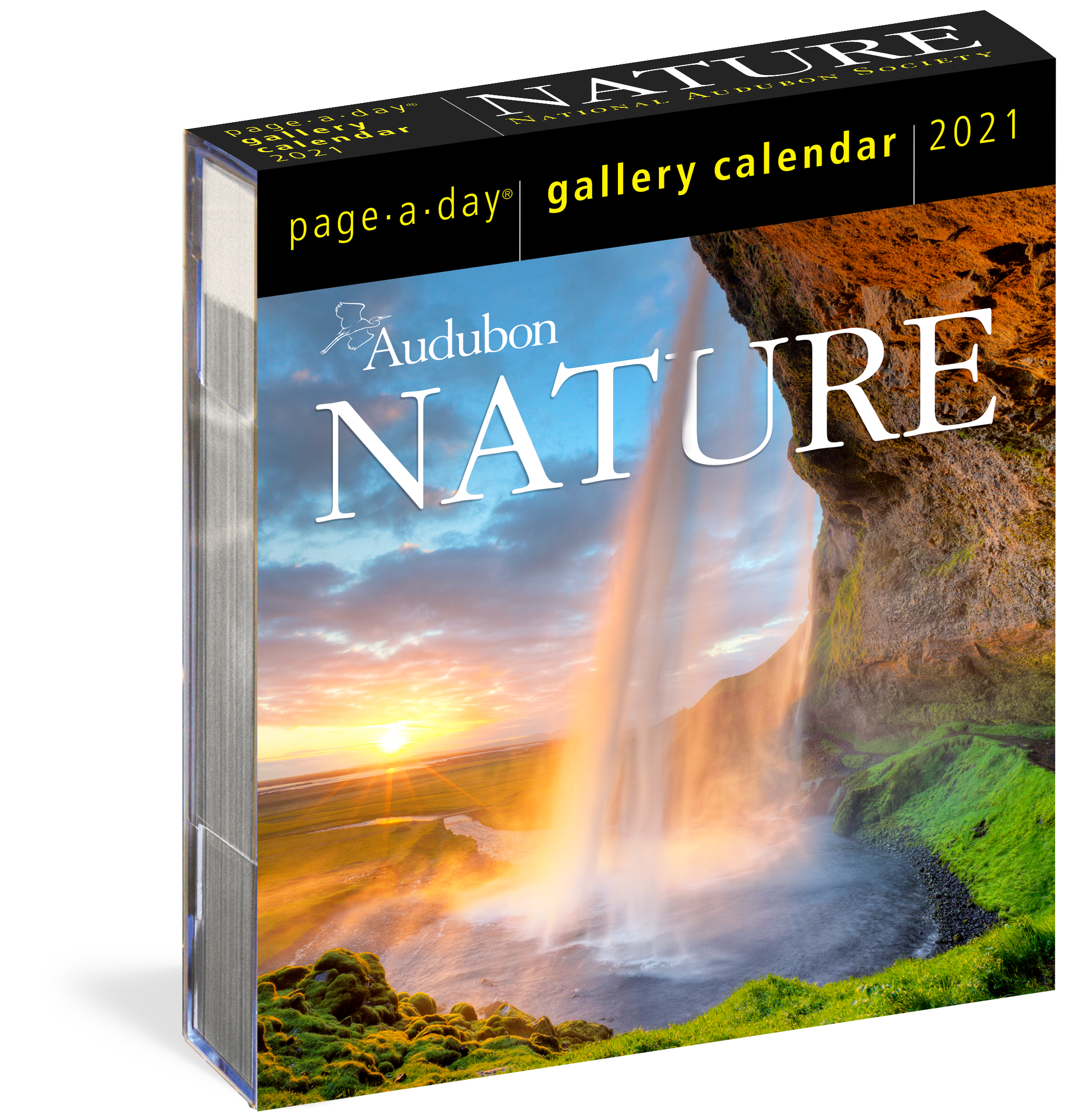 Audubon Nature Page A Day Gallery Calendar 2025