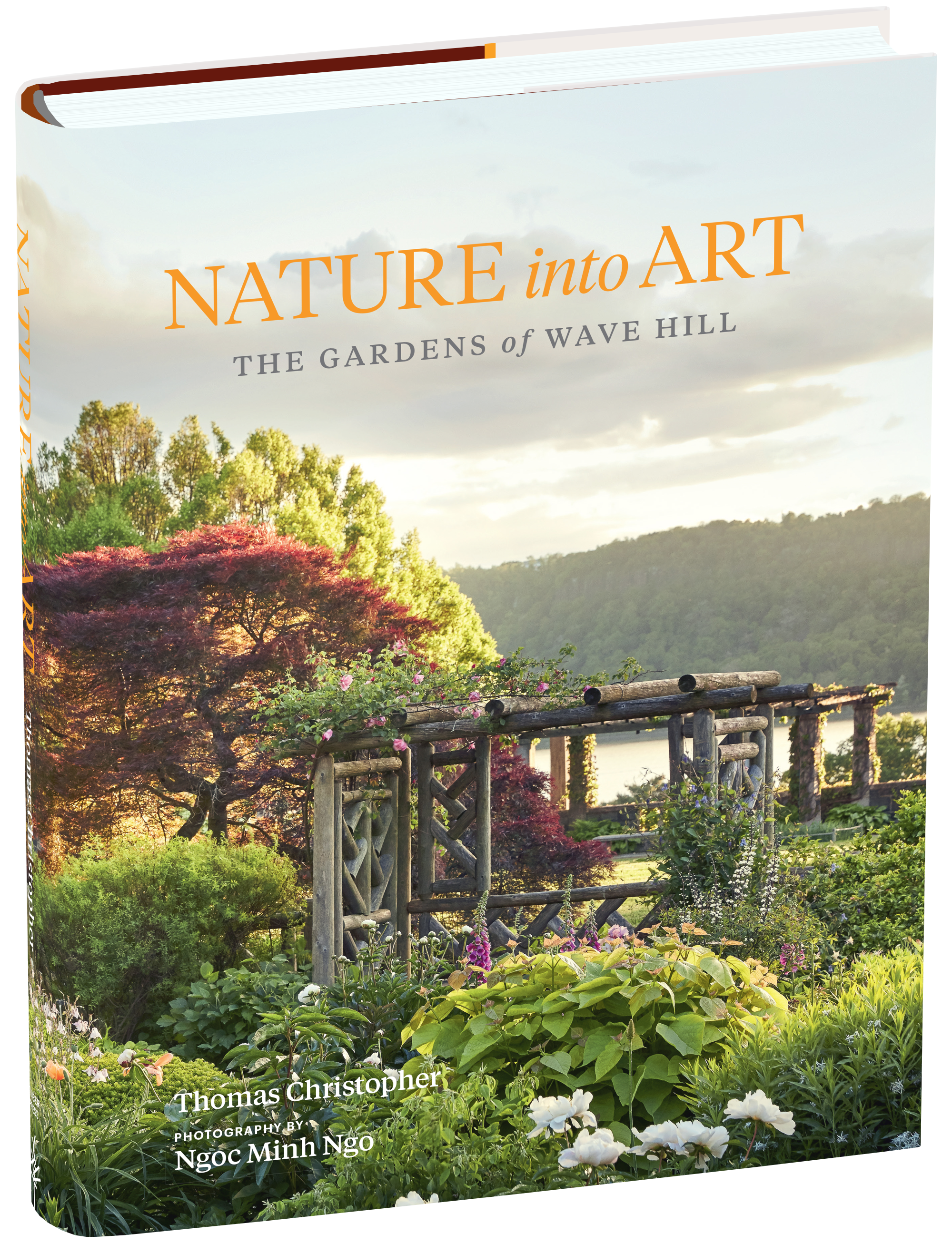 Nature Into Art Workman Publishing